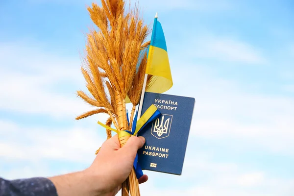 Молодой Человек Украинским Паспортом Флагом Пшеничными Шипами Привязанными Пшенице Флагом — стоковое фото
