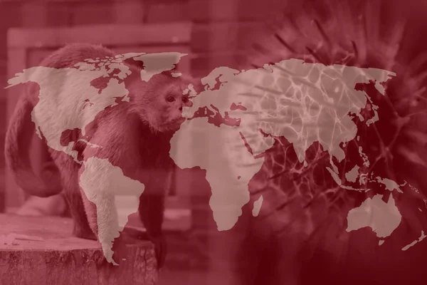 Monkeypox new disease dangerous over the world. Monkeypox virus. Red background. Virus transmitted to humans from animals. Pox virus. Pandemic. World map.