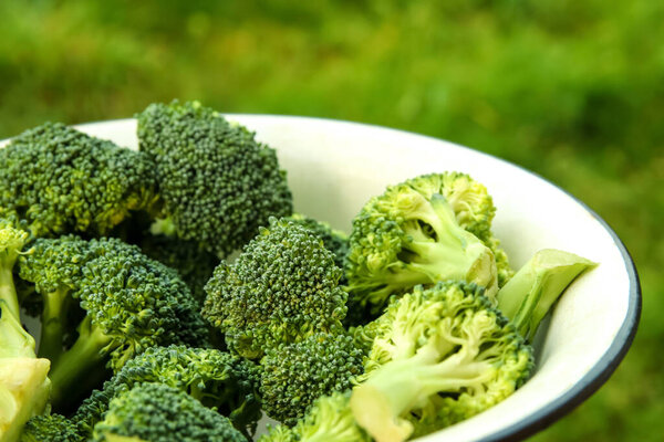 Defocus hand holding broccoli in white plate closeup nature background. Healthy Green Organic Raw Broccoli Florets Ready for Cooking. Macro. Botany. Out of focus.