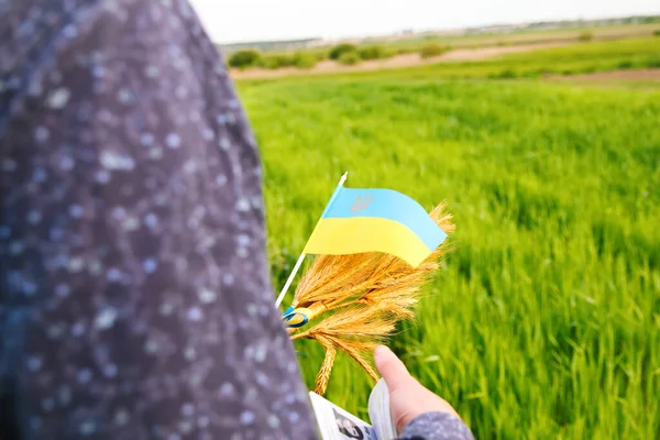 Defocus Mladý Muž Držící Ukrajinský Pas Vlajky Pšeničné Výhonky Pšenice — Stock fotografie