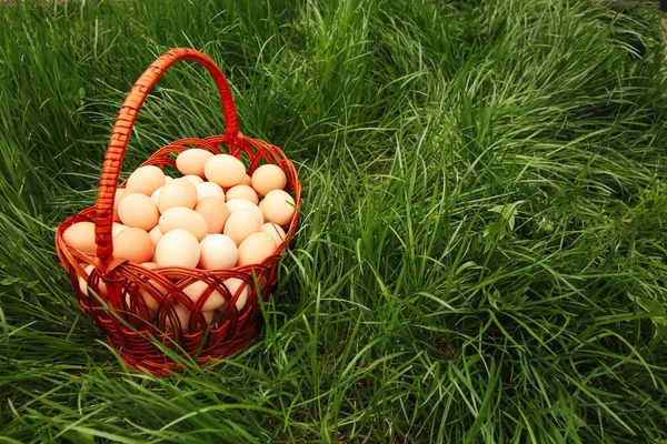 Defocus eggs in basket on grass background. Chicken eggs in wooden basket on green nature floor at cloudy day. Copy space. Out of focus.