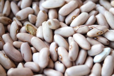 Fasulye arkaplanını yok et. Birçok kuru fasulye tanesinin arka planı. Kahverengi fasulye dokusu. Yemek arkaplanı. Brezilya diyeti atıştırmalıkları. Kırmızı böbrek fasulyesi. Odaklanamıyorum.