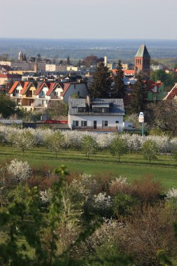 ilkbaharda dağ köyü