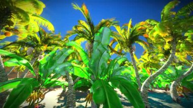 Hawaiian cennet
