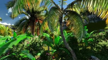 Hawaiian cennet