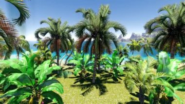 Hawaiian cennet