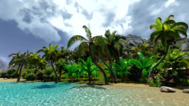 Hawaiian cennet