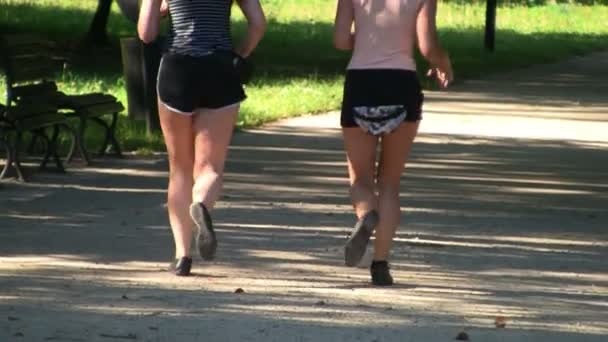 Young attractive female joggers -slow motion — Stock Video