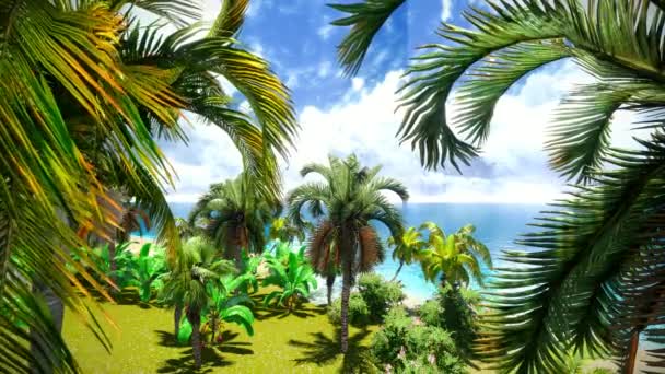Гавайский рай — стоковое видео