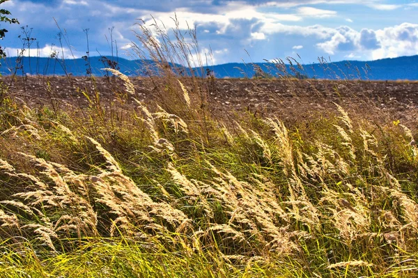 Karkonosze 산, 폴란드 — 스톡 사진