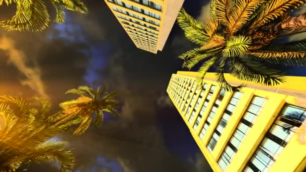 Лос-Анджелес - небоскребы и пальмы — стоковое видео
