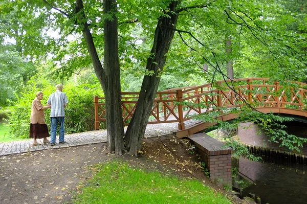 Coppia anziana nel parco — Foto Stock