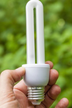 avucunda düzenlenen ampul