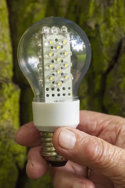 Light bulb held in palm — Stock Photo, Image