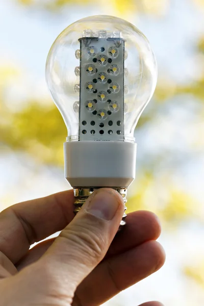 Light bulb held in palm — Stock Photo, Image