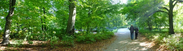 Seniorenpaar im Park — Stockfoto