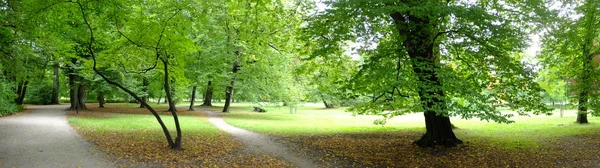 Park in autumn tijd — Stockfoto