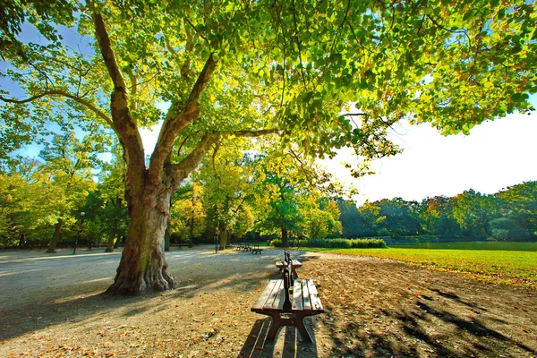 Parc à l'automne — Photo