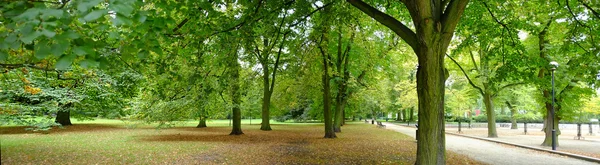 公園の秋の時間 — ストック写真