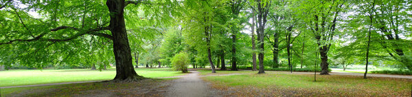 Park in autumn time