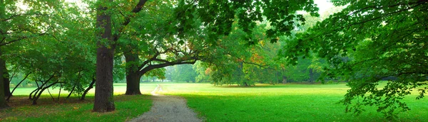 Park v podzimním čase — Stock fotografie