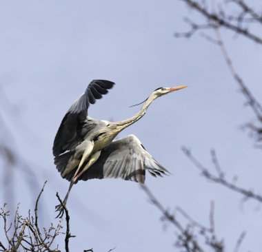 Gölün üzerinde gün batımı