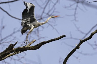 Gölün üzerinde gün batımı