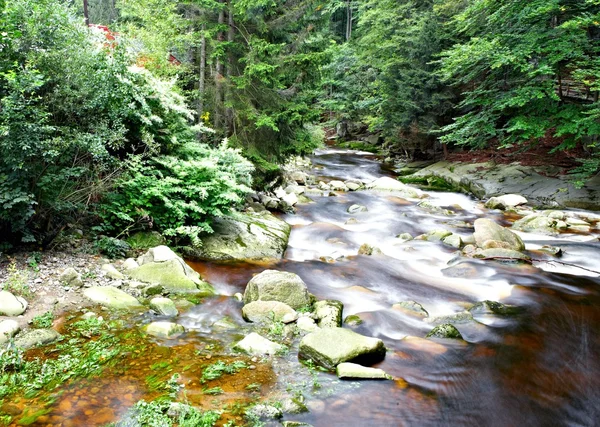 Západ slunce nad jezerem — Stock fotografie