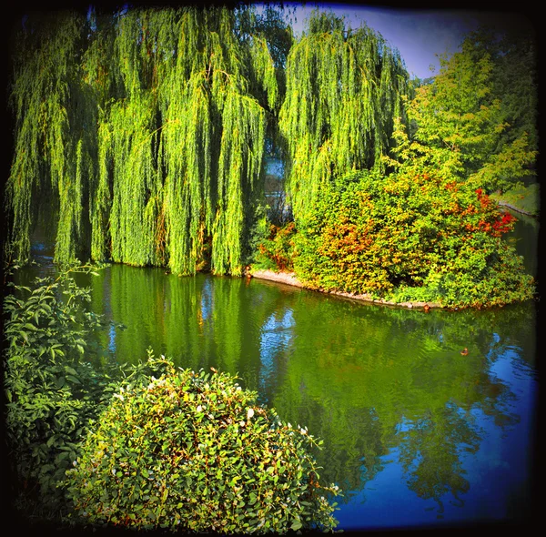 Lakescape in Poland — Stock Photo, Image