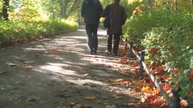 sonbahar Park kıdemli mutlu çift