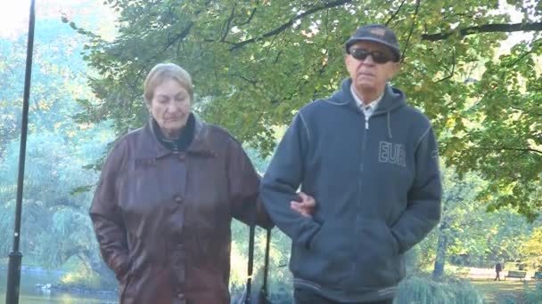 Feliz pareja de ancianos en el parque de otoño — Vídeos de Stock