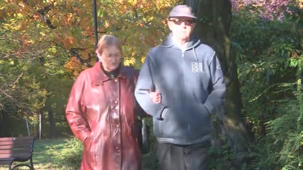 Feliz pareja de ancianos en el parque de otoño — Vídeos de Stock