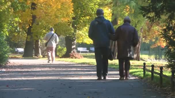 Feliz pareja de ancianos en el parque de otoño — Vídeo de stock