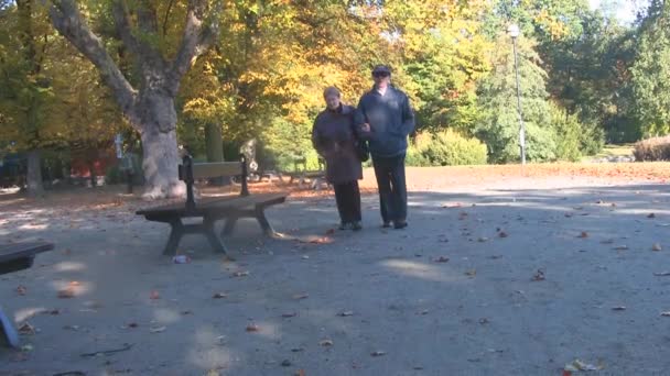 Heureux couple de personnes âgées dans le parc d'automne 