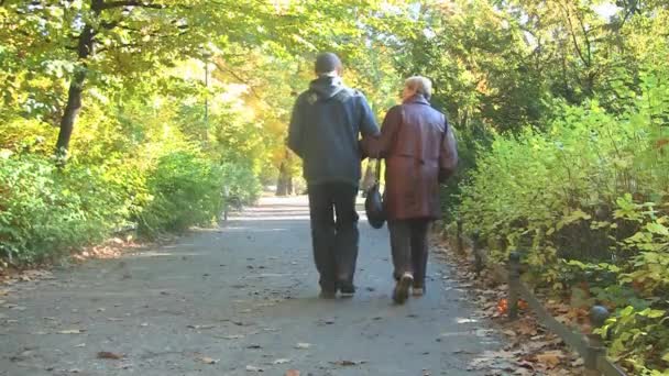 Feliz pareja de ancianos en el parque de otoño — Vídeos de Stock