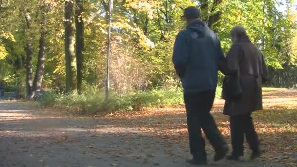 Feliz pareja de ancianos en el parque de otoño — Vídeo de stock