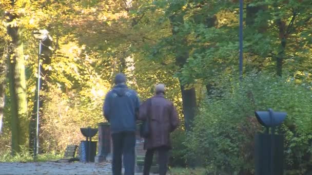 Lyckliga äldre par i höst park — Stockvideo