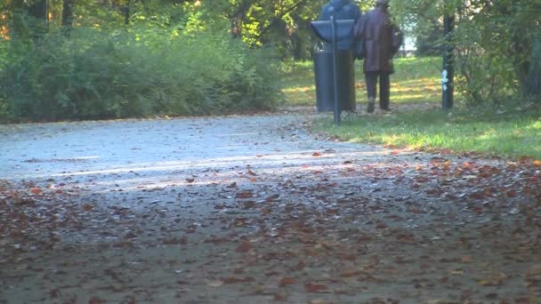 Feliz pareja de ancianos en el parque de otoño — Vídeo de stock