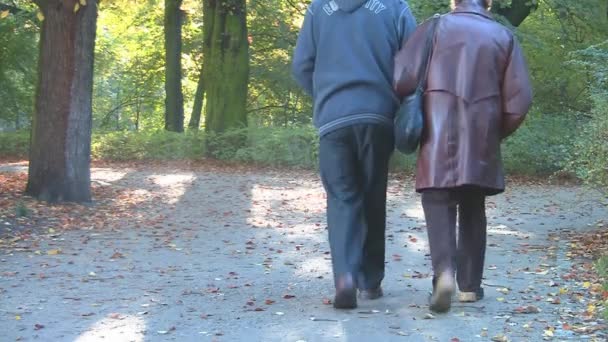 Feliz pareja de ancianos en el parque de otoño — Vídeo de stock