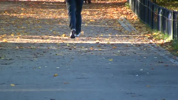 Feliz pareja de ancianos en el parque de otoño — Vídeo de stock