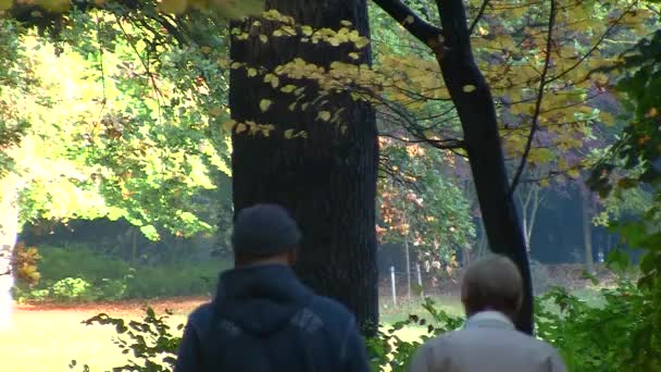 Happy senior couple in fall park — Stock Video