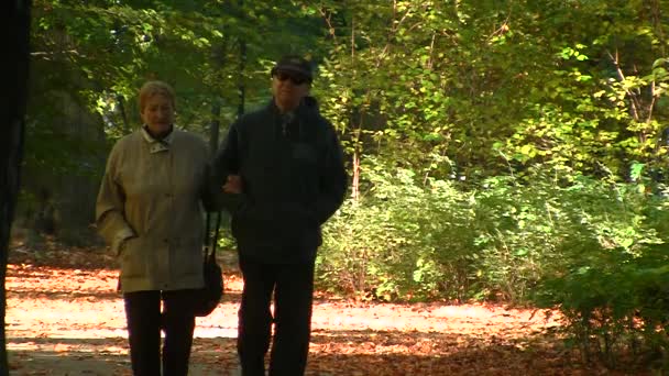 Lyckliga äldre par i höst park — Stockvideo