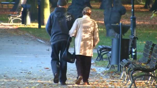 Feliz pareja de ancianos en el parque de otoño — Vídeo de stock