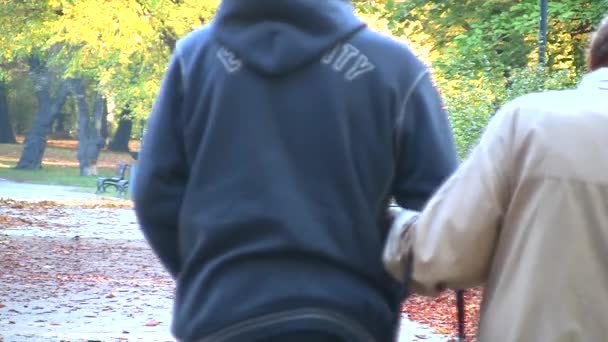 Heureux couple de personnes âgées dans le parc d'automne — Video