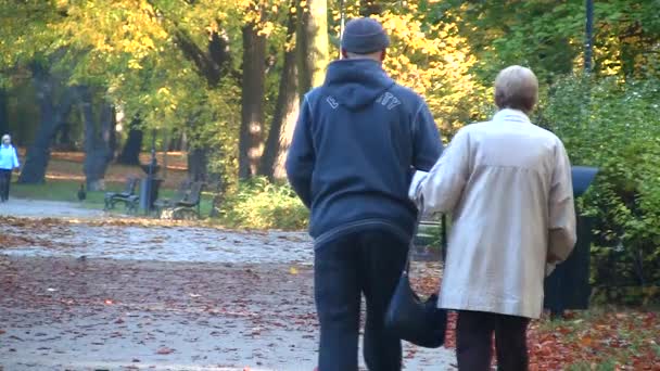 Щаслива старша пара в осінньому парку — стокове відео