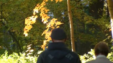 sonbahar Park kıdemli mutlu çift