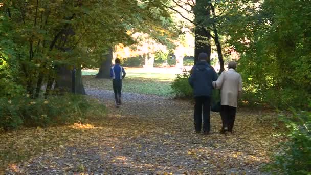 Feliz pareja de ancianos en el parque de otoño — Vídeo de stock
