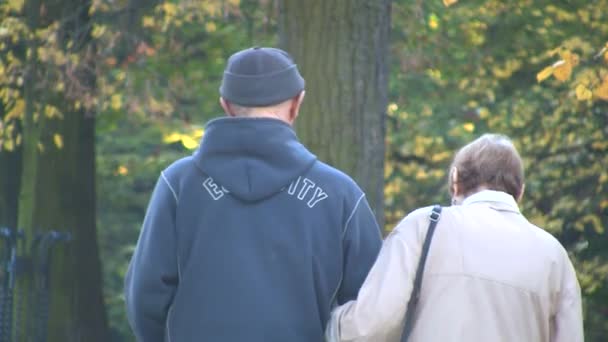 Felice coppia anziana in autunno parco — Video Stock