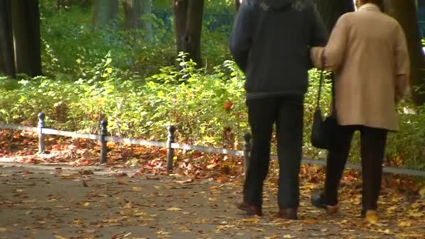幸福的高级情侣在秋天公园 — 图库视频影像