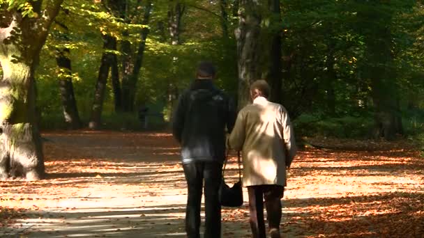 Feliz pareja de ancianos en el parque de otoño — Vídeo de stock